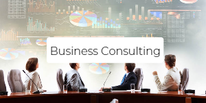 Case Study - Business Consulting